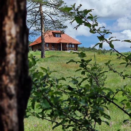 Skroviste, Zlatibor-Vodice Bagian luar foto