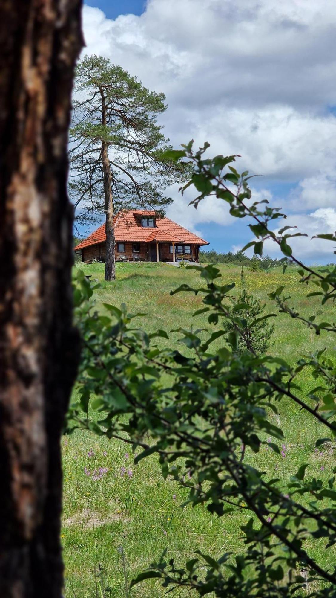 Skroviste, Zlatibor-Vodice Bagian luar foto